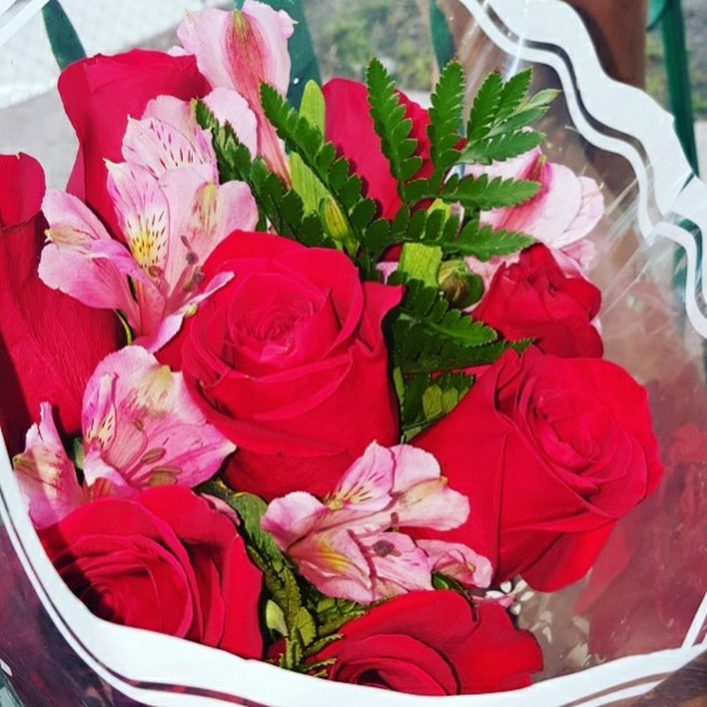 Meet your Posher, Dash